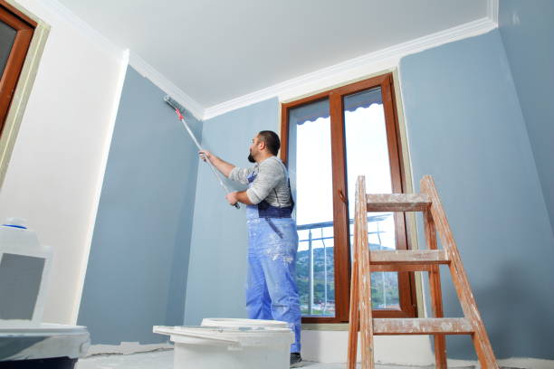 Best Post-Construction Mold Inspection  in Newhall, IA