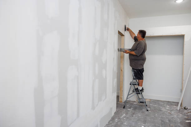 Newhall, IA Mold Removal Company