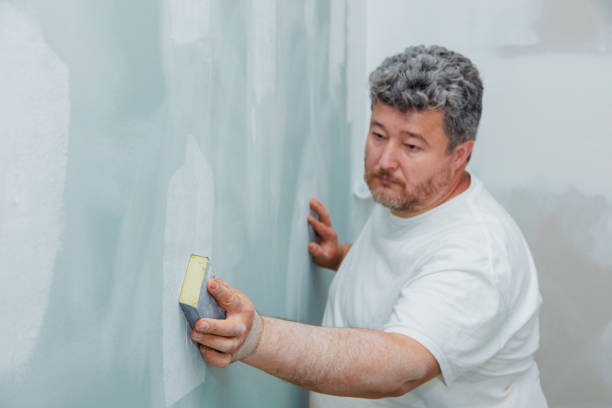 Best Water Damage & Mold Remediation  in Newhall, IA