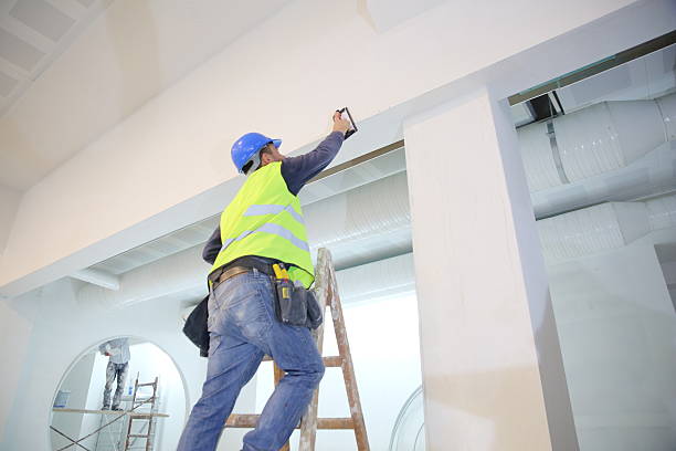 Best Airborne Mold Testing  in Newhall, IA